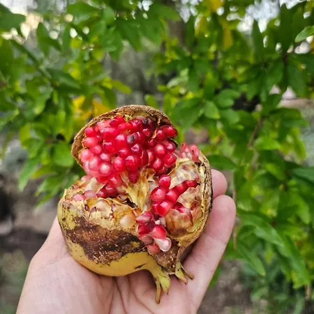 Гостевой дом Il 10 Settembre 4*