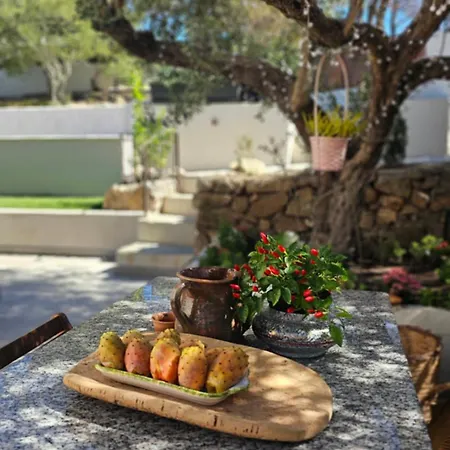 Il 10 Settembre Enas