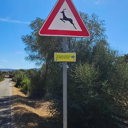 Il 10 Settembre