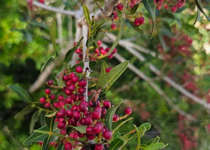 Il 10 Settembre Gasthuis