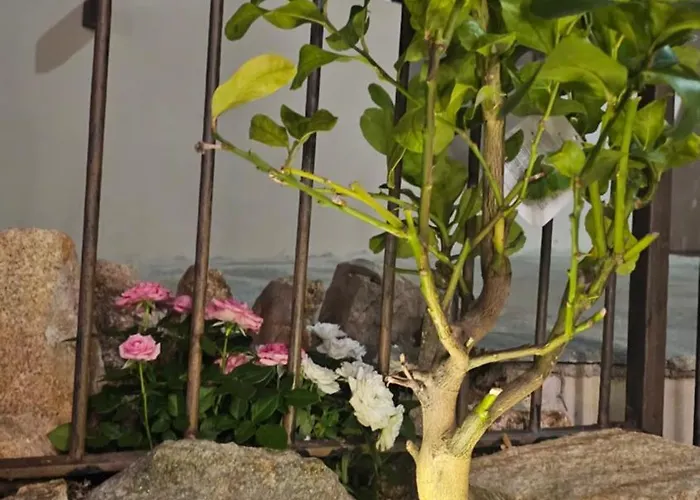 Il 10 Settembre Gasthuis Enas