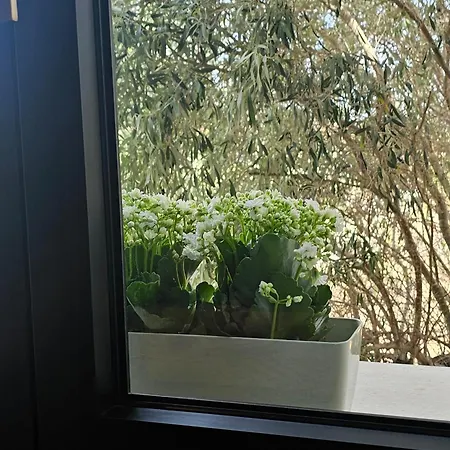 Il 10 Settembre 4* Enas