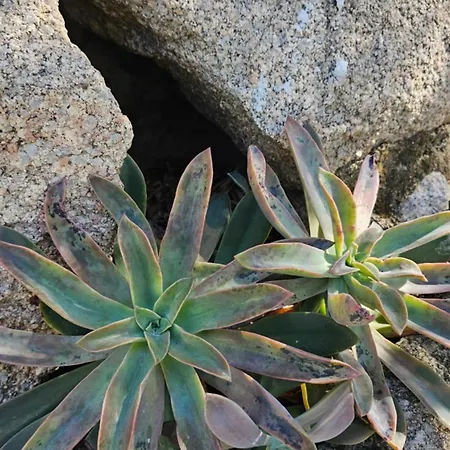 Il 10 Settembre Enas