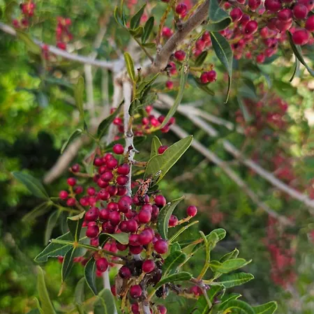 Il 10 Settembre Guest house