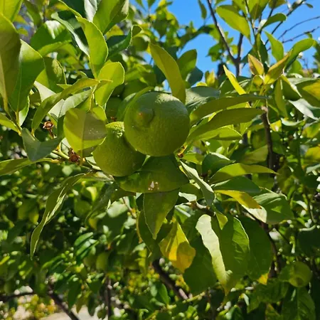 Il 10 Settembre 4* Enas