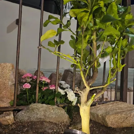 Il 10 Settembre Πανσιόν Enas