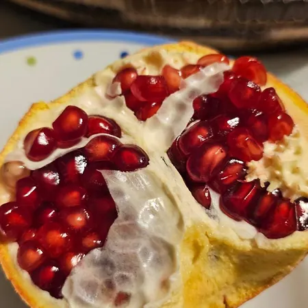 Il 10 Settembre Πανσιόν Enas