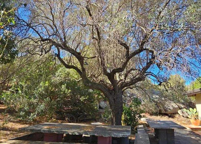 בית הארחה Il 10 Settembre 4*